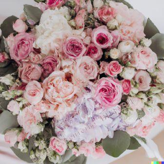 8 ����� 2023 �. - ������� ��������� "������"