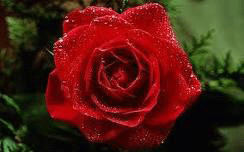 ������������� �������